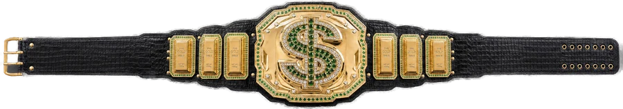 A novelty belt