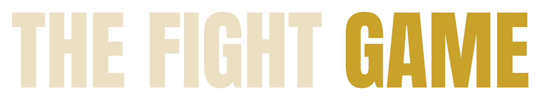 The Fight Game wordmark, light